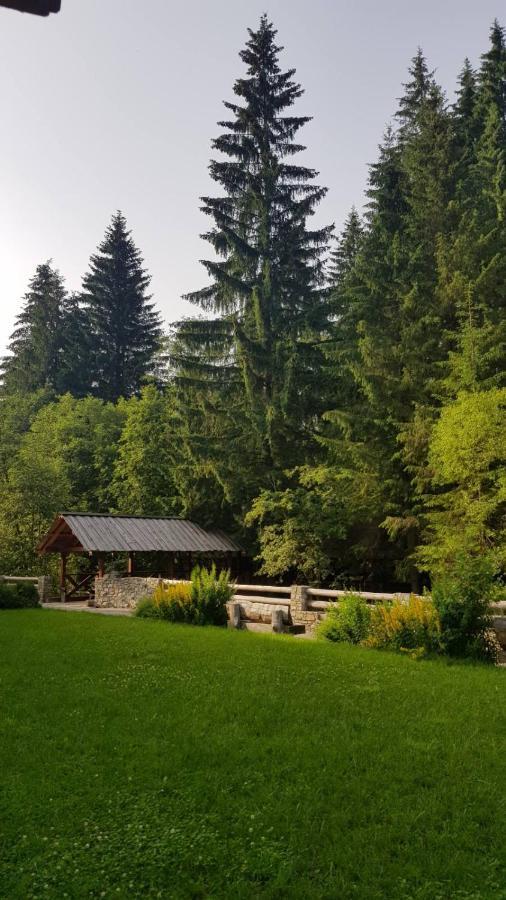 Cheremosh Jablunytsja Exteriör bild